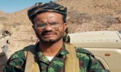 اغتيال السيد.. عملية إرهابية أمريكية بامتياز.. 